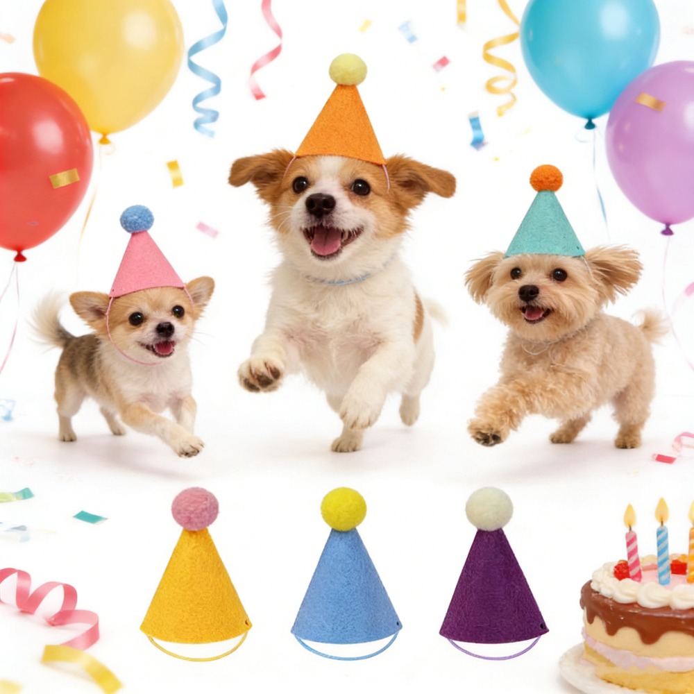 หมวกปาร์ตี้สำหรับสัตว์เลี้ยง 3 - Party Hat Cone บทวิจารณ์และราคา