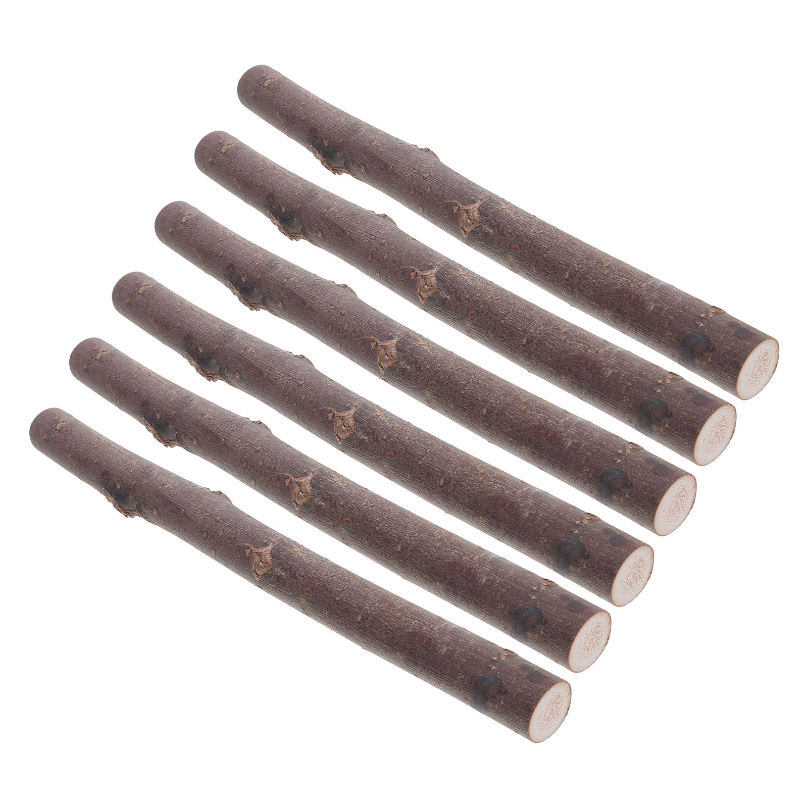 กิ่งไม้เบิร์ช 6 ชิ้น สำหรับตกแ - Centerpiece Stick บทวิจารณ์และราคา